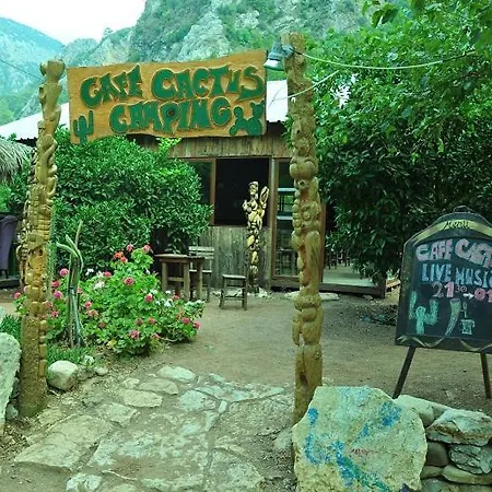 Cafe Cactus Camping *